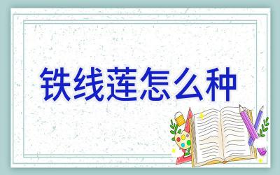 铁线莲怎么种插图