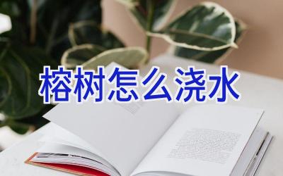 榕树怎么浇水插图 榕树怎么浇水插图