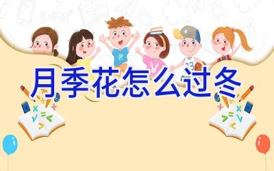 月季花怎么过冬插图