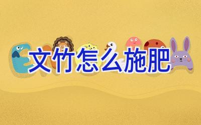 文竹怎么施肥插图 文竹怎么施肥插图