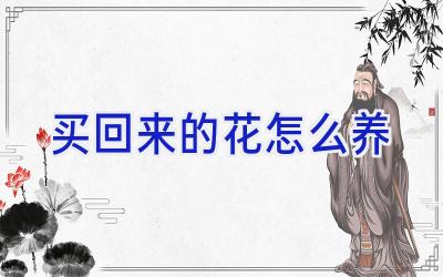 买回来的花怎么养插图 买回来的花怎么养插图