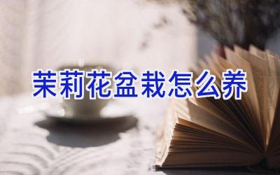 茉莉花盆栽怎么养插图 茉莉花盆栽怎么养插图