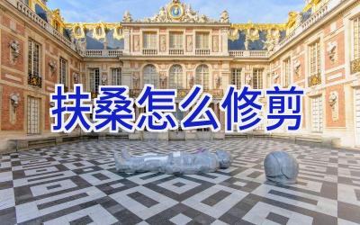 扶桑怎么修剪插图