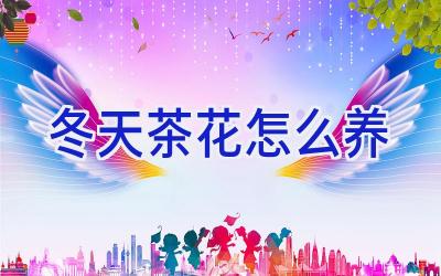 冬天茶花怎么养插图 冬天茶花怎么养插图