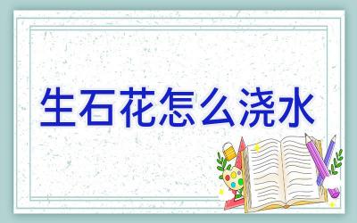 生石花怎么浇水插图