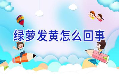 绿萝发黄怎么回事插图