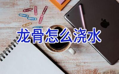 龙骨怎么浇水插图