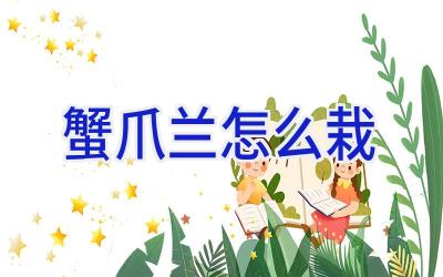 蟹爪兰怎么栽插图