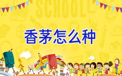 香茅怎么种插图