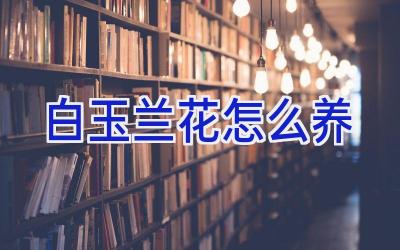 白玉兰花怎么养插图