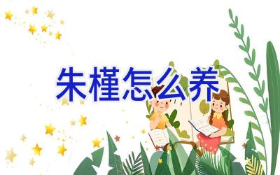 朱槿怎么养插图 朱槿怎么养插图