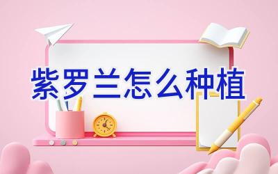 紫罗兰怎么种植插图