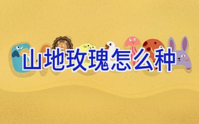 山地玫瑰怎么种插图