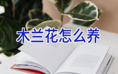 木兰花怎么养插图 木兰花怎么养插图
