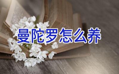 曼陀罗怎么养插图