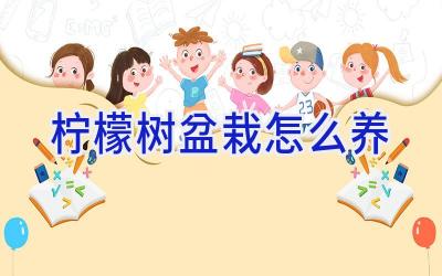 柠檬树盆栽怎么养插图 柠檬树盆栽怎么养插图