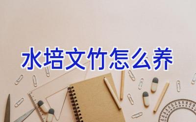 水培文竹怎么养插图