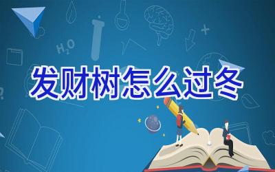 发财树怎么过冬插图 发财树怎么过冬插图