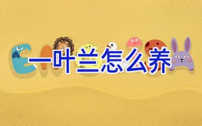 一叶兰怎么养插图 一叶兰怎么养插图