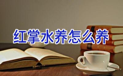 红掌水养怎么养插图 红掌水养怎么养插图