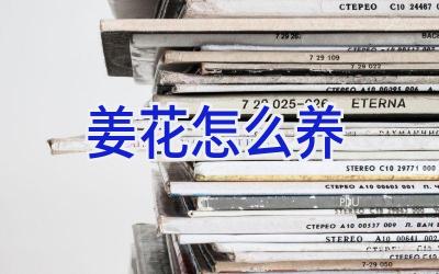 姜花怎么养插图