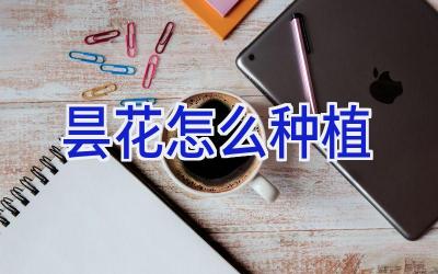 昙花怎么种植插图