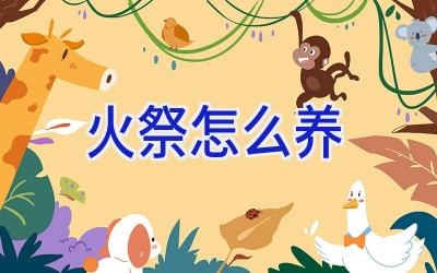 火祭怎么养插图