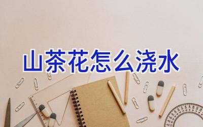 山茶花怎么浇水插图 山茶花怎么浇水插图