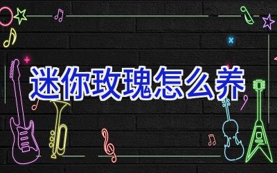 迷你玫瑰怎么养插图 迷你玫瑰怎么养插图