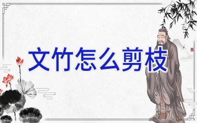 文竹怎么剪枝插图 文竹怎么剪枝插图