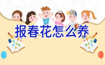 报春花怎么养插图 报春花怎么养插图