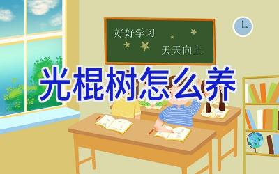 光棍树怎么养插图 光棍树怎么养插图