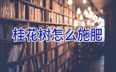 桂花树怎么施肥插图 桂花树怎么施肥插图