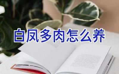 白凤多肉怎么养插图 白凤多肉怎么养插图