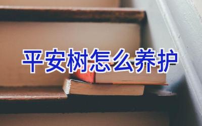 平安树怎么养护插图 平安树怎么养护插图