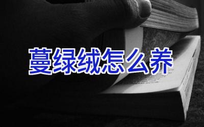 蔓绿绒怎么养插图