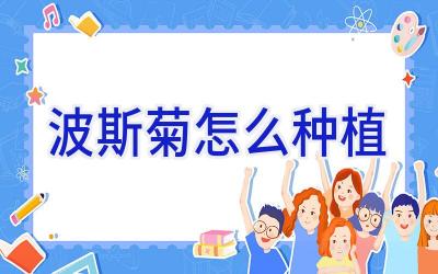 波斯菊怎么种植插图 波斯菊怎么种植插图