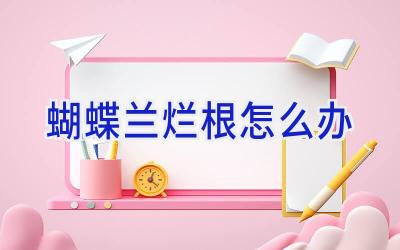 蝴蝶兰烂根怎么办插图 蝴蝶兰烂根怎么办插图