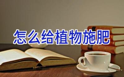 怎么给植物施肥插图