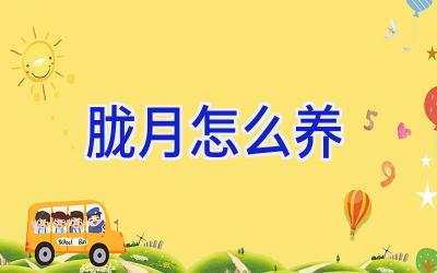 胧月怎么养插图 胧月怎么养插图