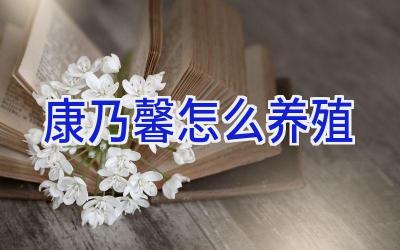 康乃馨怎么养殖插图 康乃馨怎么养殖插图