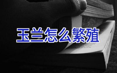 玉兰怎么繁殖插图 玉兰怎么繁殖插图