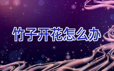 竹子开花怎么办插图
