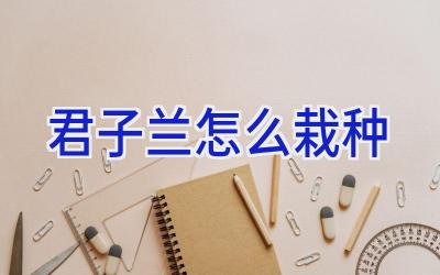 君子兰怎么栽种插图