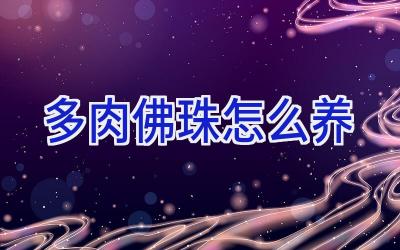 多肉佛珠怎么养插图