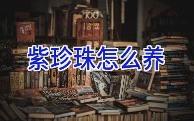 紫珍珠怎么养插图