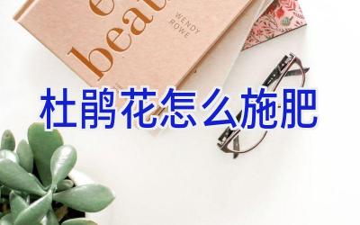 杜鹃花怎么施肥插图 杜鹃花怎么施肥插图