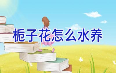 栀子花怎么水养插图 栀子花怎么水养插图