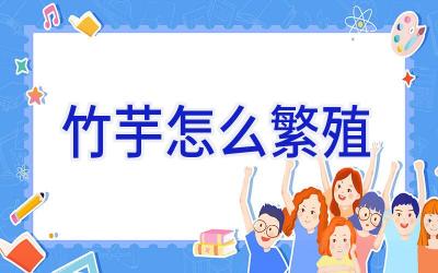 竹芋怎么繁殖插图