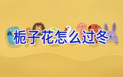 栀子花怎么过冬插图 栀子花怎么过冬插图